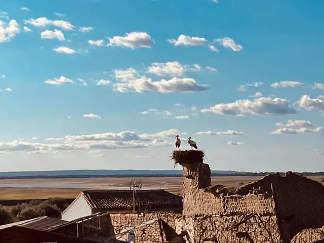 La Cruz Vakantiehuis