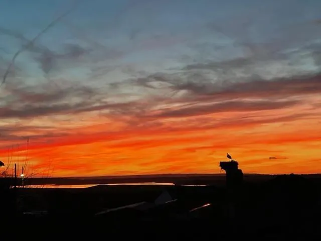 La Cruz Vakantiehuis